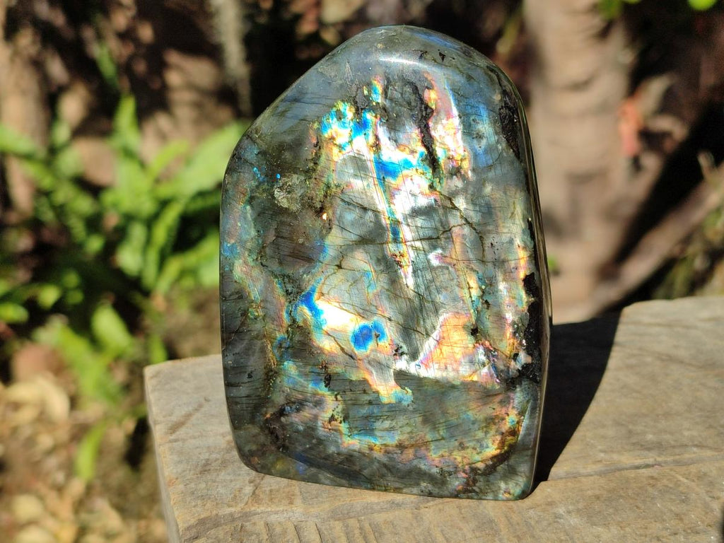 Polished Spectrolite Labradorite Standing Display Pieces x 3 From Madagascar - Toprock Gemstones and Minerals 
