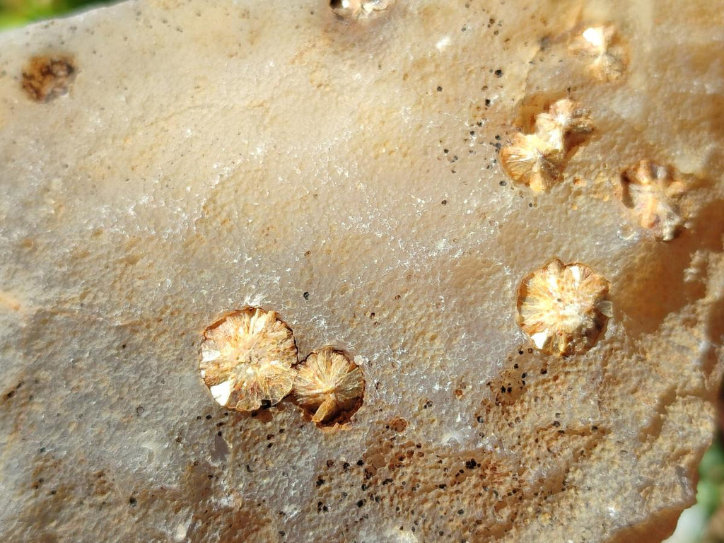 Polished and Natural Agate Nodules with Crystalline Geode Centres x 5 From Maintirano, Madagascar - Toprock Gemstones and Minerals 