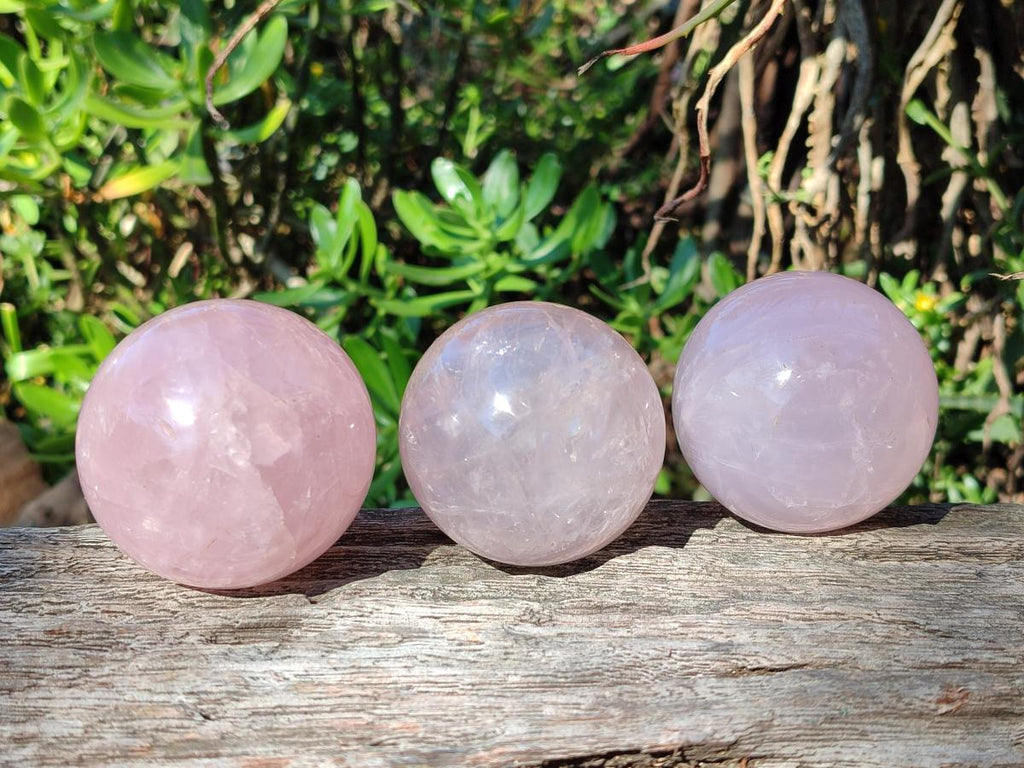 Polished Gemmy Star Rose Quartz Spheres x 5 From Madagascar - Toprock Gemstones and Minerals 