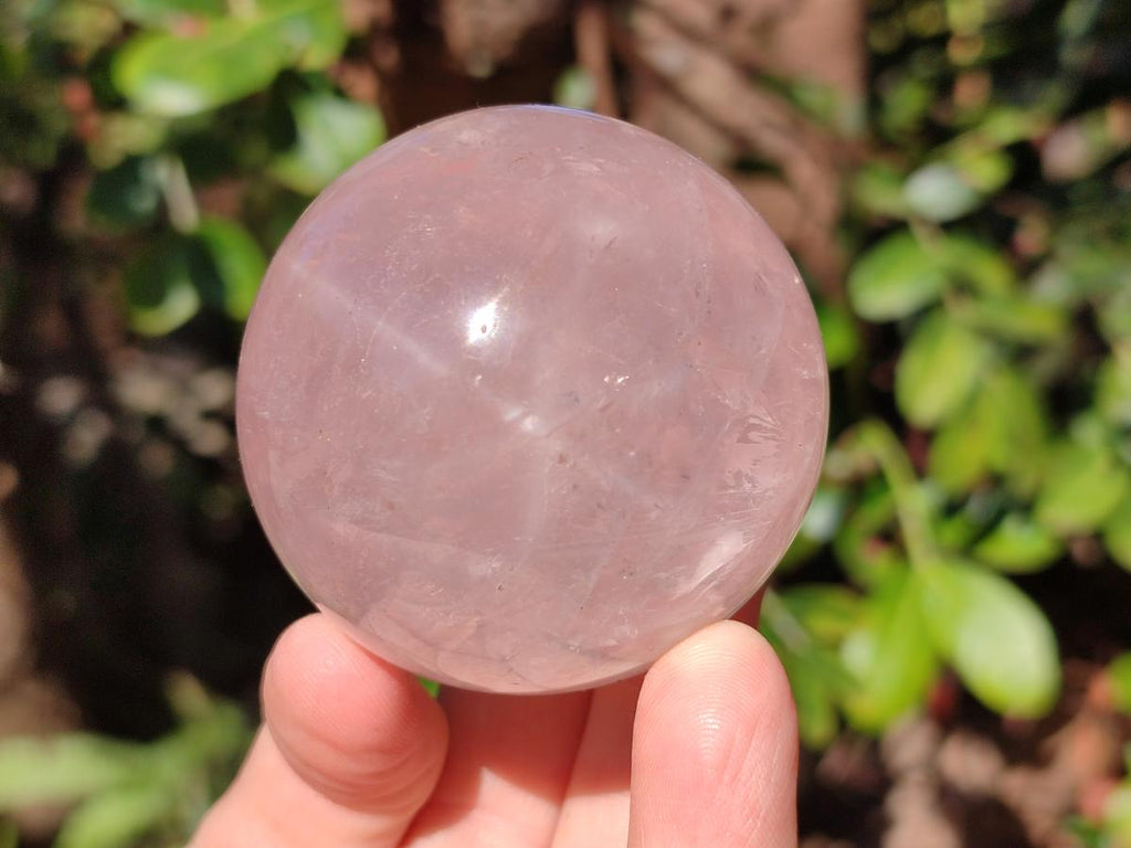 Polished Gemmy Star Rose Quartz Spheres x 5 From Madagascar - Toprock Gemstones and Minerals 