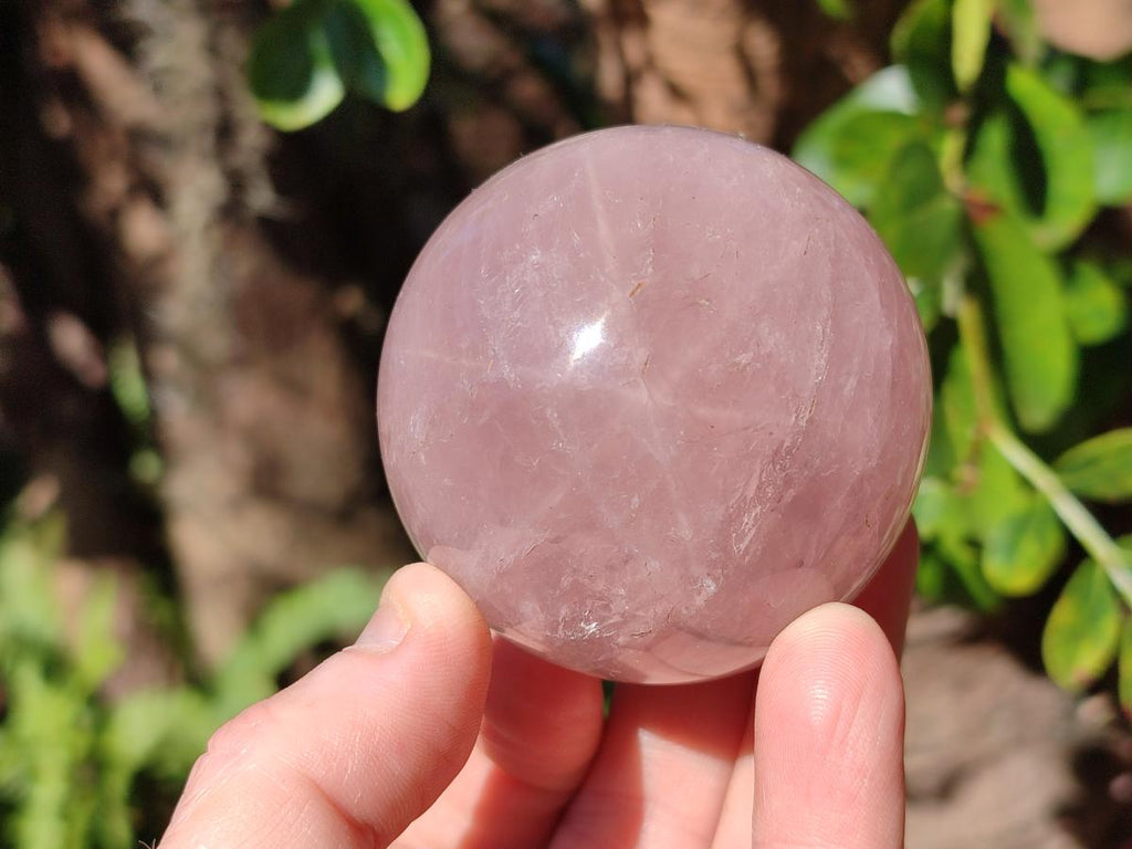 Polished Gemmy Star Rose Quartz Spheres x 5 From Madagascar - Toprock Gemstones and Minerals 