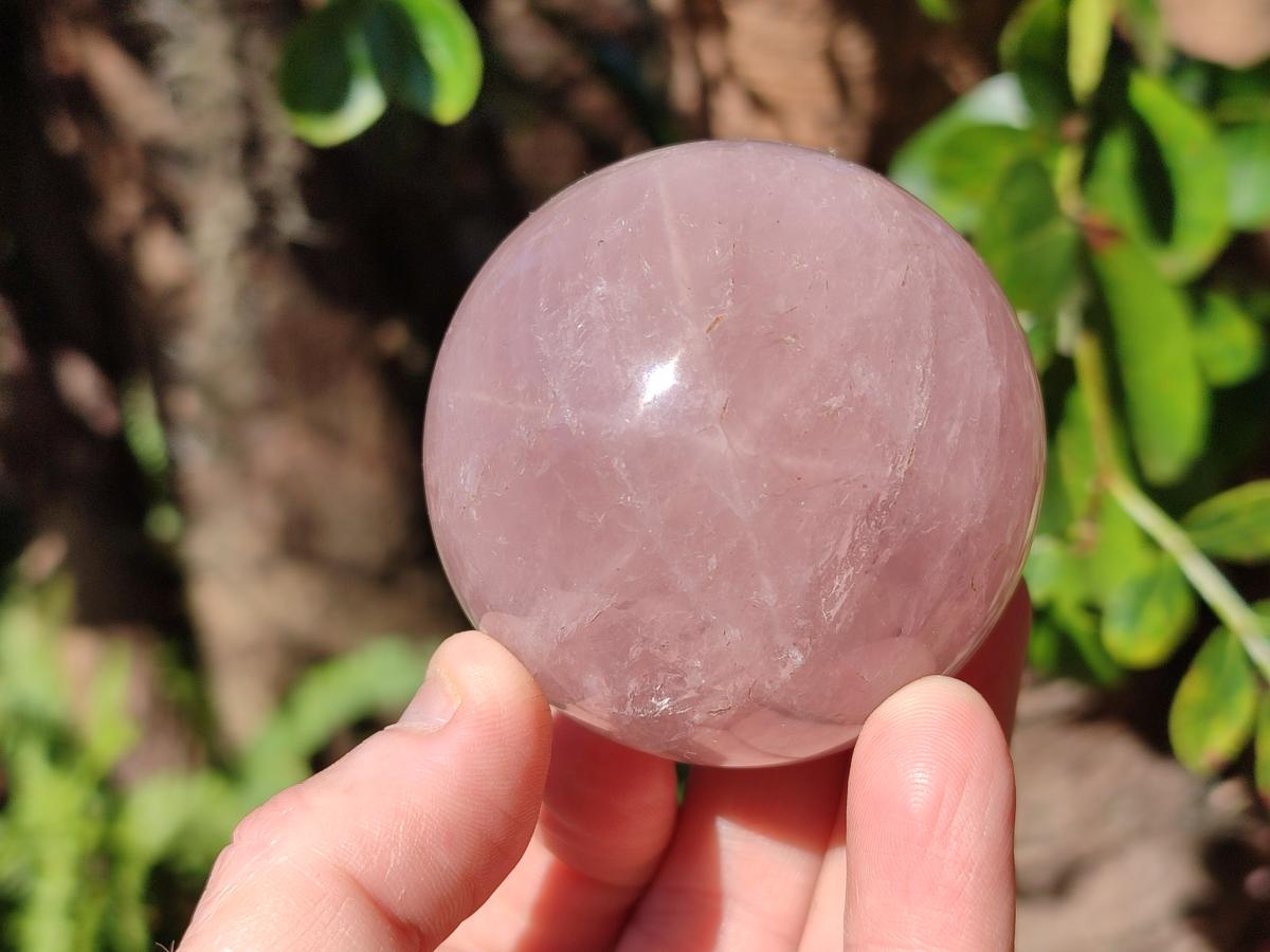 Polished Gemmy Star Rose Quartz Spheres x 5 From Madagascar - Toprock Gemstones and Minerals 