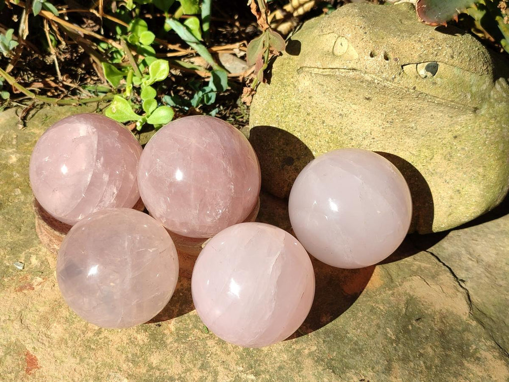 Polished Gemmy Star Rose Quartz Spheres x 5 From Madagascar - Toprock Gemstones and Minerals 