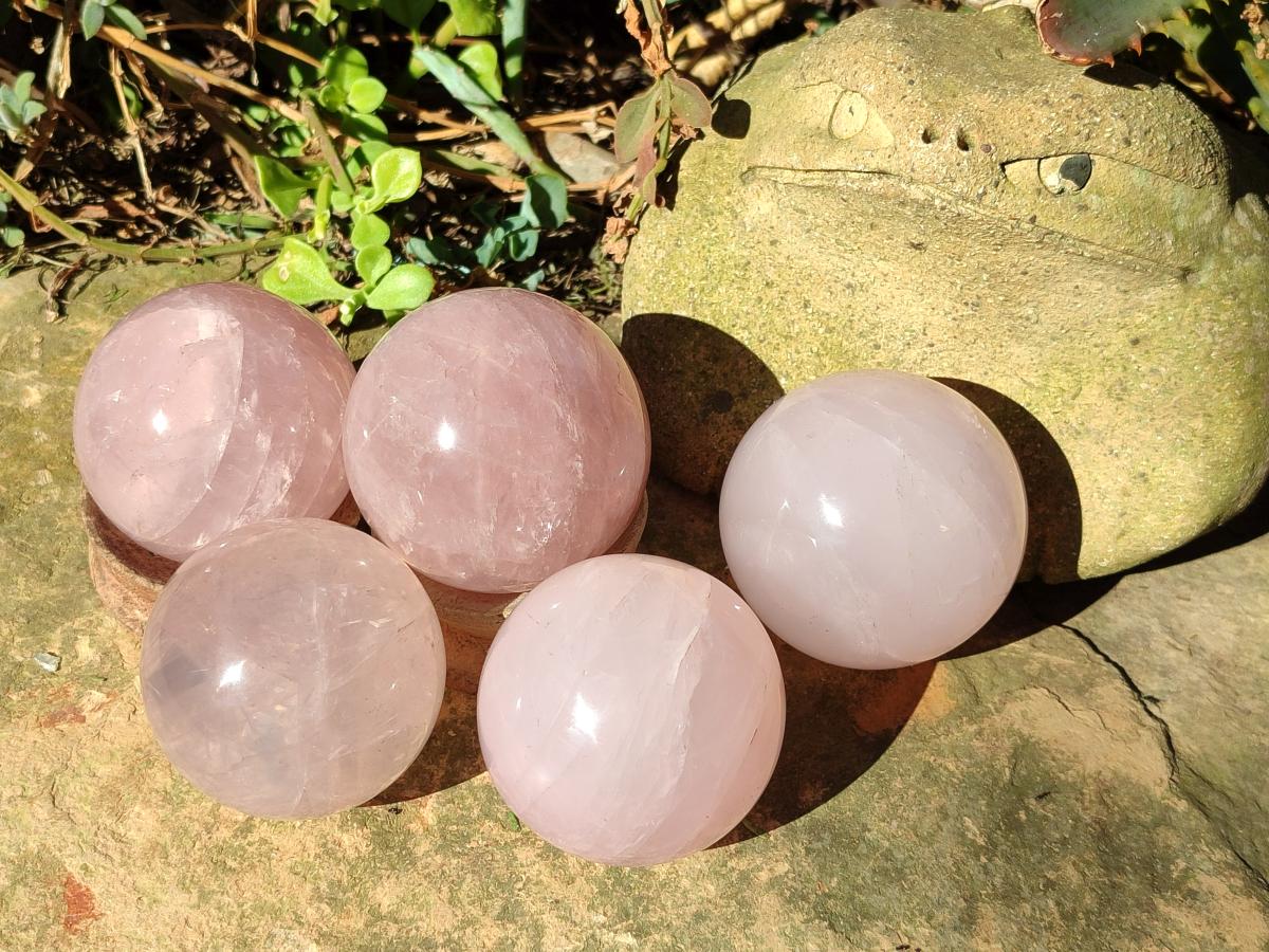 Polished Gemmy Star Rose Quartz Spheres x 5 From Madagascar - Toprock Gemstones and Minerals 