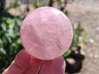 Polished Gemmy Star Rose Quartz Spheres x 5 From Madagascar - Toprock Gemstones and Minerals 