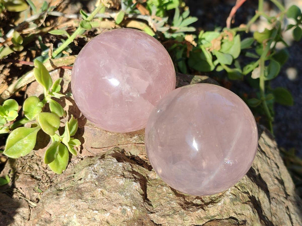 Polished Gemmy Star Rose Quartz Spheres x 5 From Madagascar - Toprock Gemstones and Minerals 
