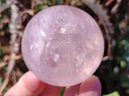 Polished Gemmy Star Rose Quartz Spheres x 5 From Madagascar - Toprock Gemstones and Minerals 