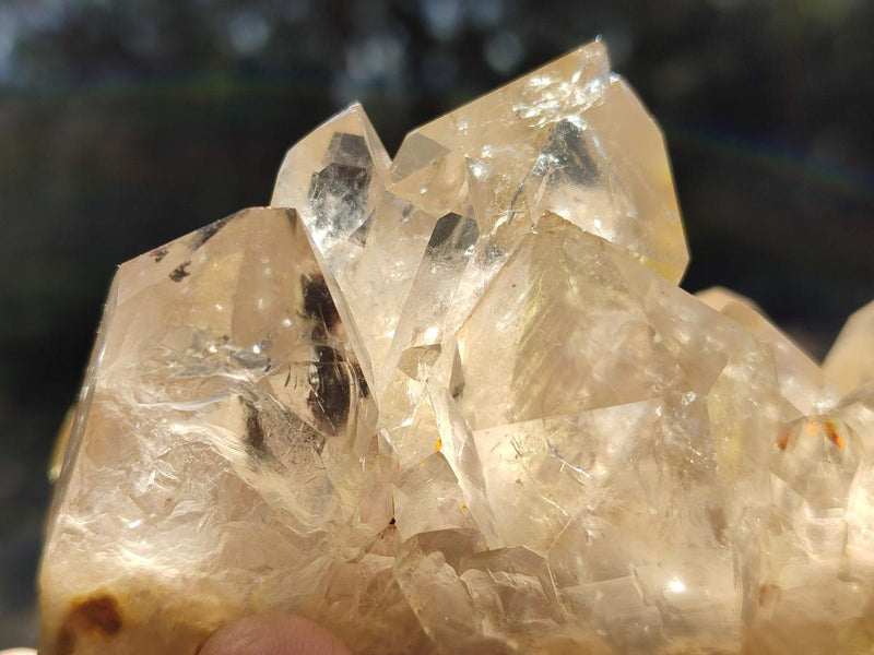 Natural Cascading Clear Luena Quartz Crystals and Clusters x 4 From Luena, Congo - Toprock Gemstones and Minerals 
