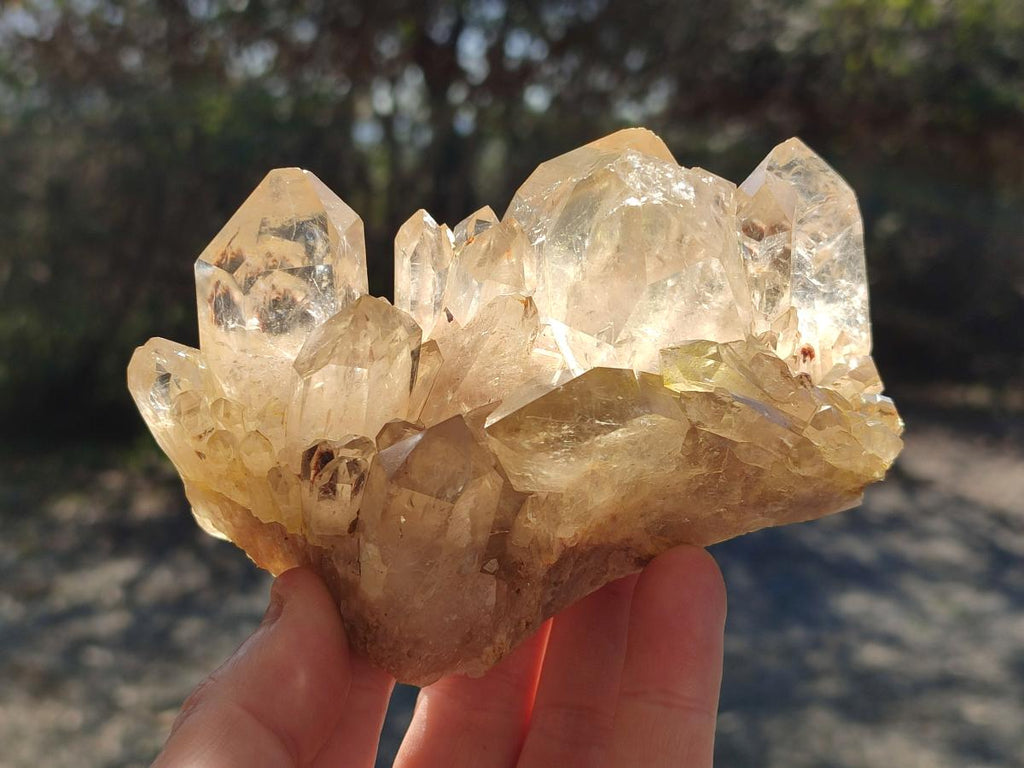 Natural Cascading Clear Luena Quartz Crystals and Clusters x 4 From Luena, Congo - Toprock Gemstones and Minerals 
