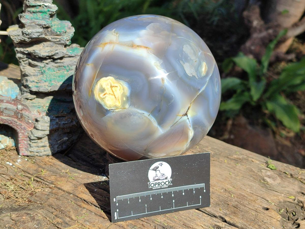 Polished XL Banded Agate Sphere x 1 From Madagascar - Toprock Gemstones and Minerals 