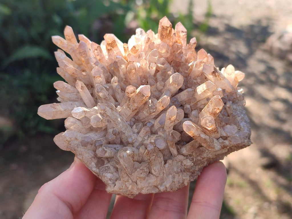 Natural Malagasy Quartz Clusters x 12 From Madagascar - Toprock Gemstones and Minerals 