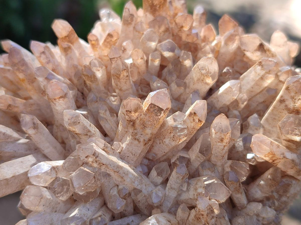 Natural Malagasy Quartz Clusters x 12 From Madagascar - Toprock Gemstones and Minerals 