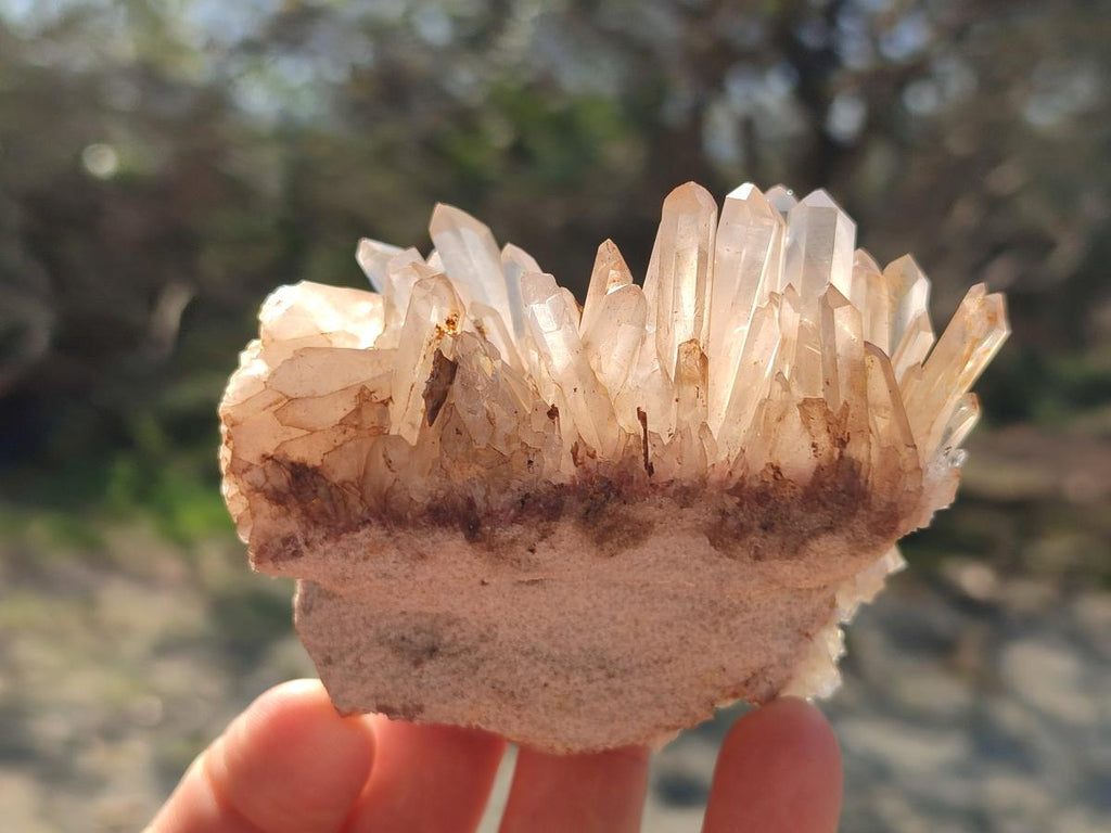 Natural Malagasy Quartz Clusters x 12 From Madagascar - Toprock Gemstones and Minerals 