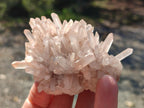 Natural Malagasy Quartz Clusters x 12 From Madagascar - Toprock Gemstones and Minerals 