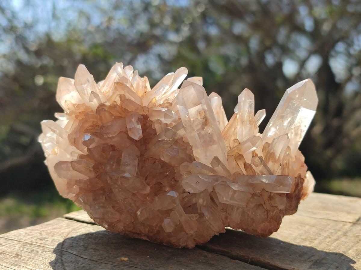 Natural Malagasy Quartz Clusters x 12 From Madagascar - Toprock Gemstones and Minerals 