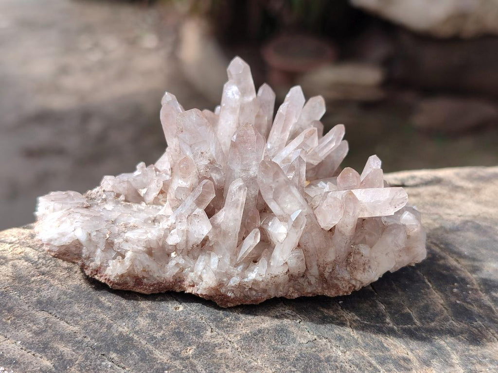 Natural Malagasy Quartz Clusters x 12 From Madagascar - Toprock Gemstones and Minerals 