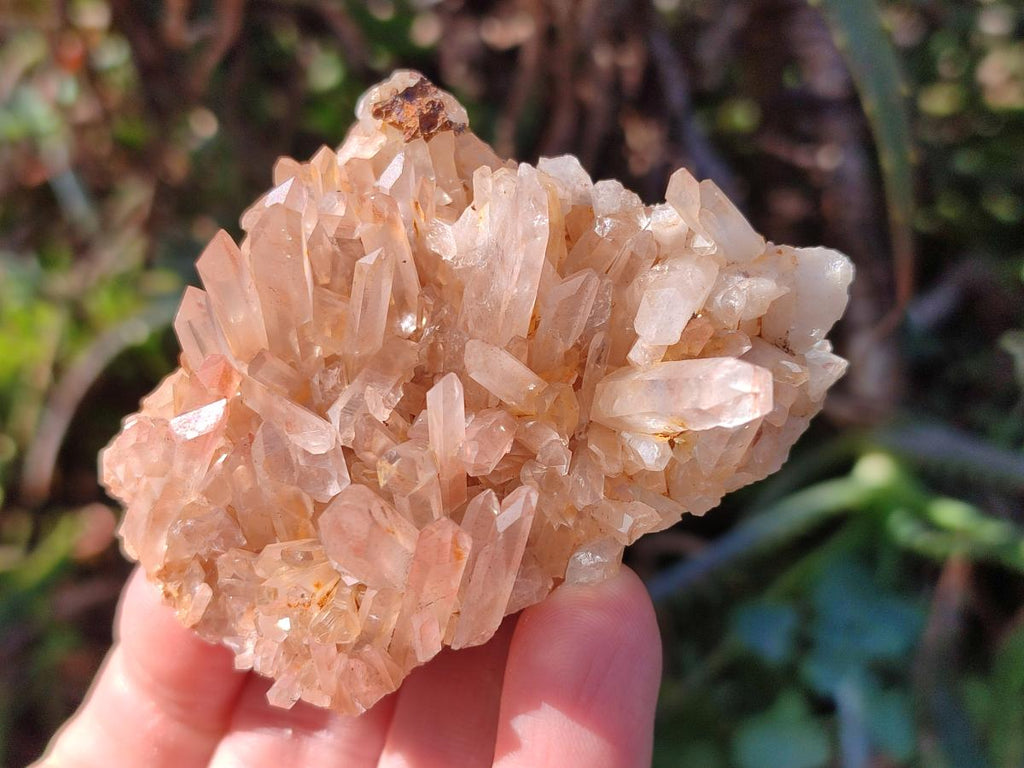 Natural Malagasy Quartz Clusters x 12 From Madagascar - Toprock Gemstones and Minerals 