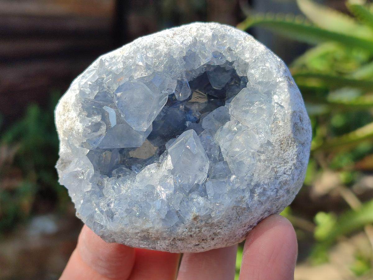 Natural Blue Celestite Specimens x 24 From Sakoany, Madagascar - Toprock Gemstones and Minerals 