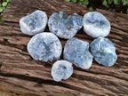 Natural Blue Celestite Specimens x 24 From Sakoany, Madagascar - Toprock Gemstones and Minerals 