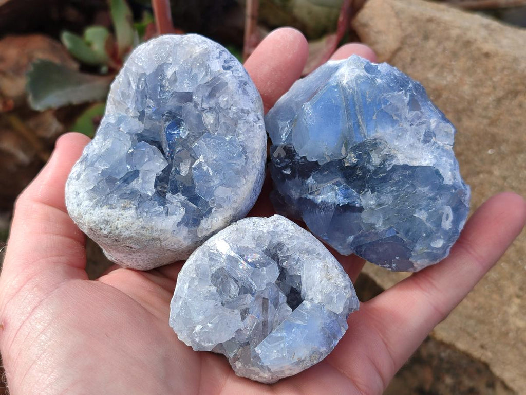 Natural Blue Celestite Specimens x 24 From Sakoany, Madagascar - Toprock Gemstones and Minerals 