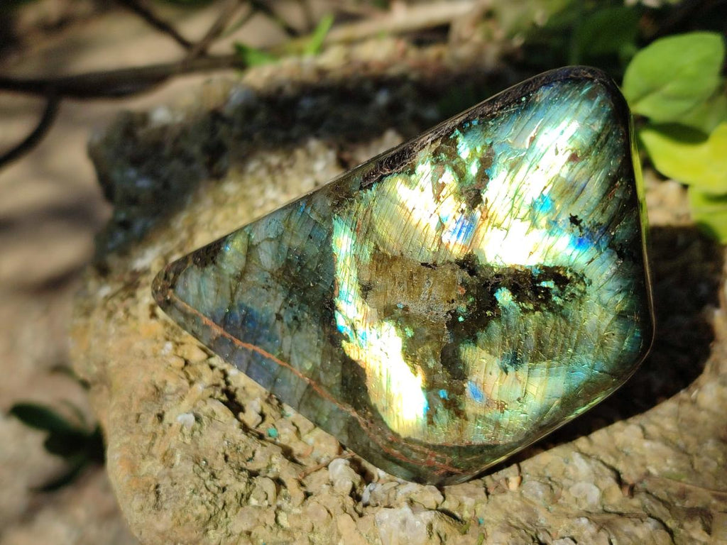 Polished Labradorite Standing Display Pieces x 3 From Madagascar - Toprock Gemstones and Minerals 
