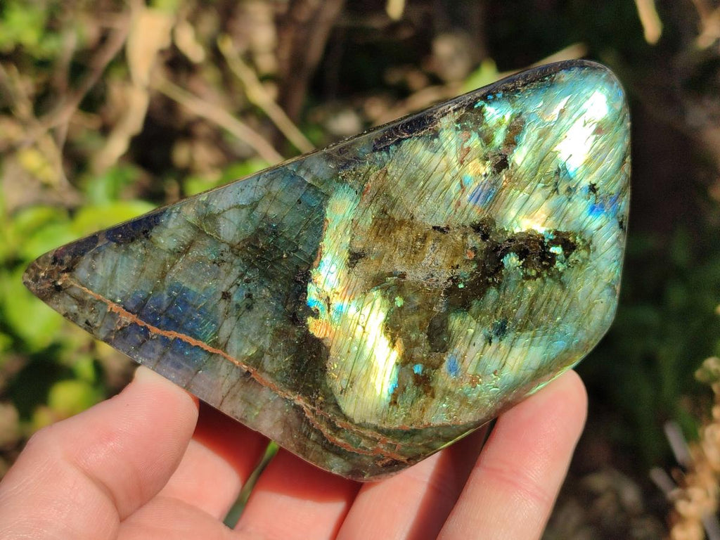 Polished Labradorite Standing Display Pieces x 3 From Madagascar - Toprock Gemstones and Minerals 