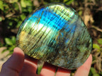 Polished Labradorite Standing Display Pieces x 3 From Madagascar - Toprock Gemstones and Minerals 