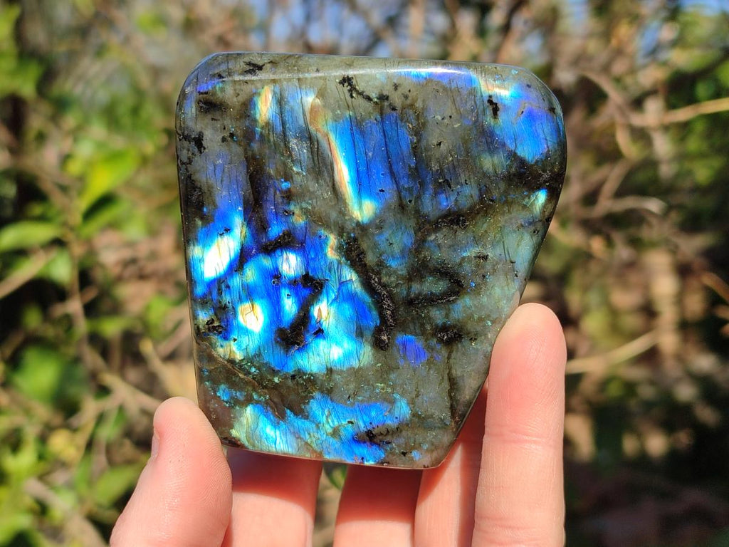 Polished Labradorite Standing Display Pieces x 3 From Madagascar - Toprock Gemstones and Minerals 