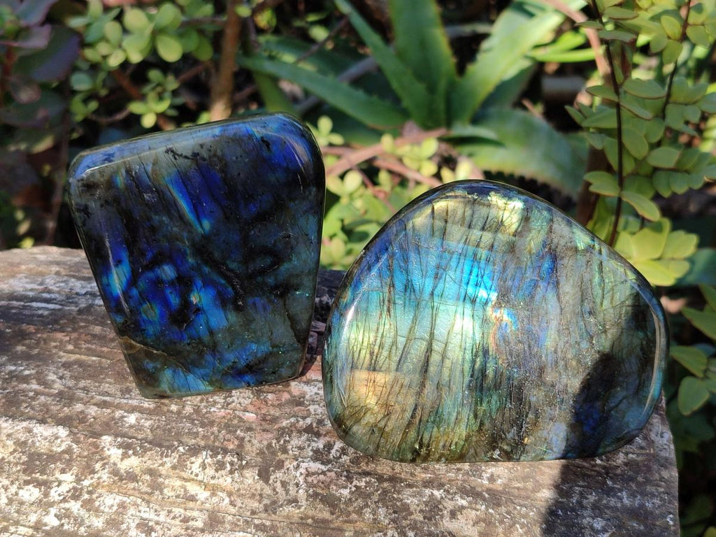 Polished Labradorite Standing Display Pieces x 3 From Madagascar - Toprock Gemstones and Minerals 