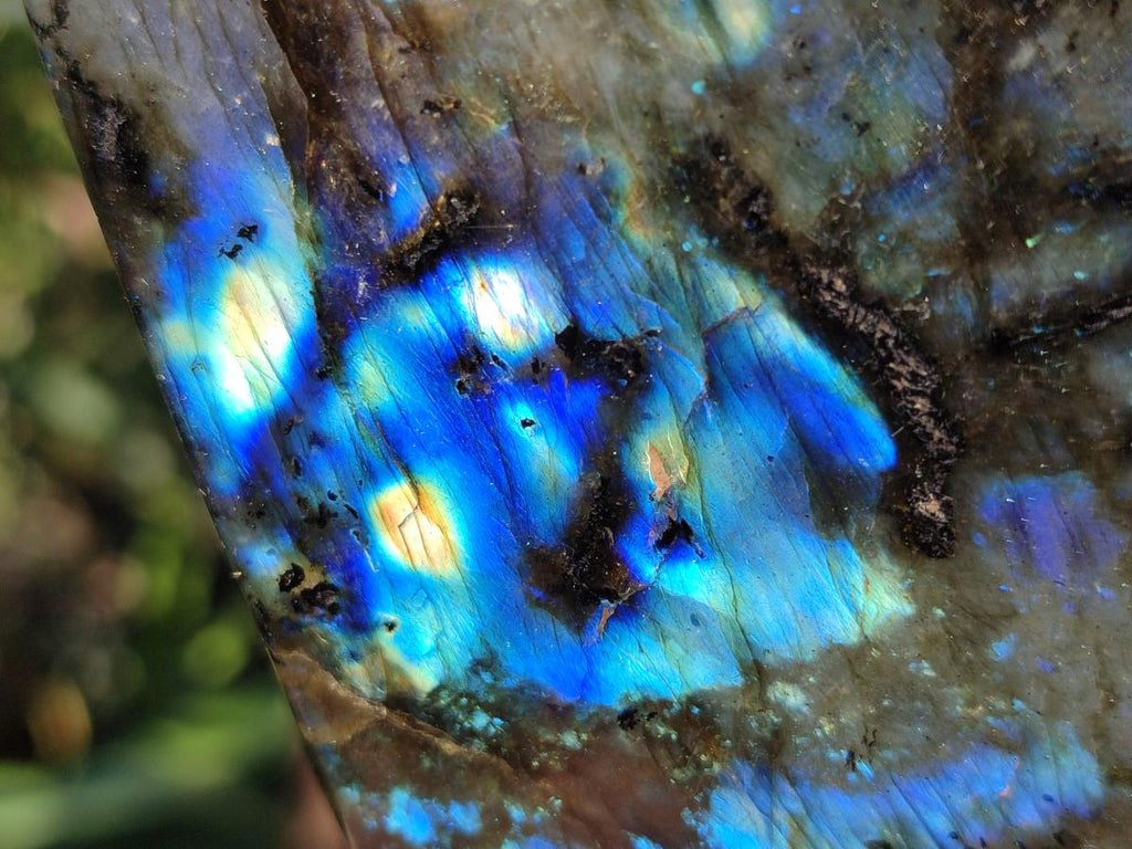 Polished Labradorite Standing Display Pieces x 3 From Madagascar - Toprock Gemstones and Minerals 