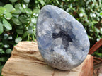 Polished and Natural Blue Celestite Eggs x 2 From Sakoany, Madagascar - Toprock Gemstones and Minerals 