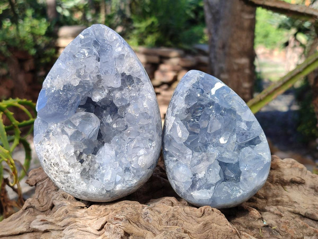 Polished and Natural Blue Celestite Eggs x 2 From Sakoany, Madagascar - Toprock Gemstones and Minerals 