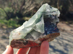 Natural Cobbed Bloodstone Pieces x 11 From Swaziland - Toprock Gemstones and Minerals 