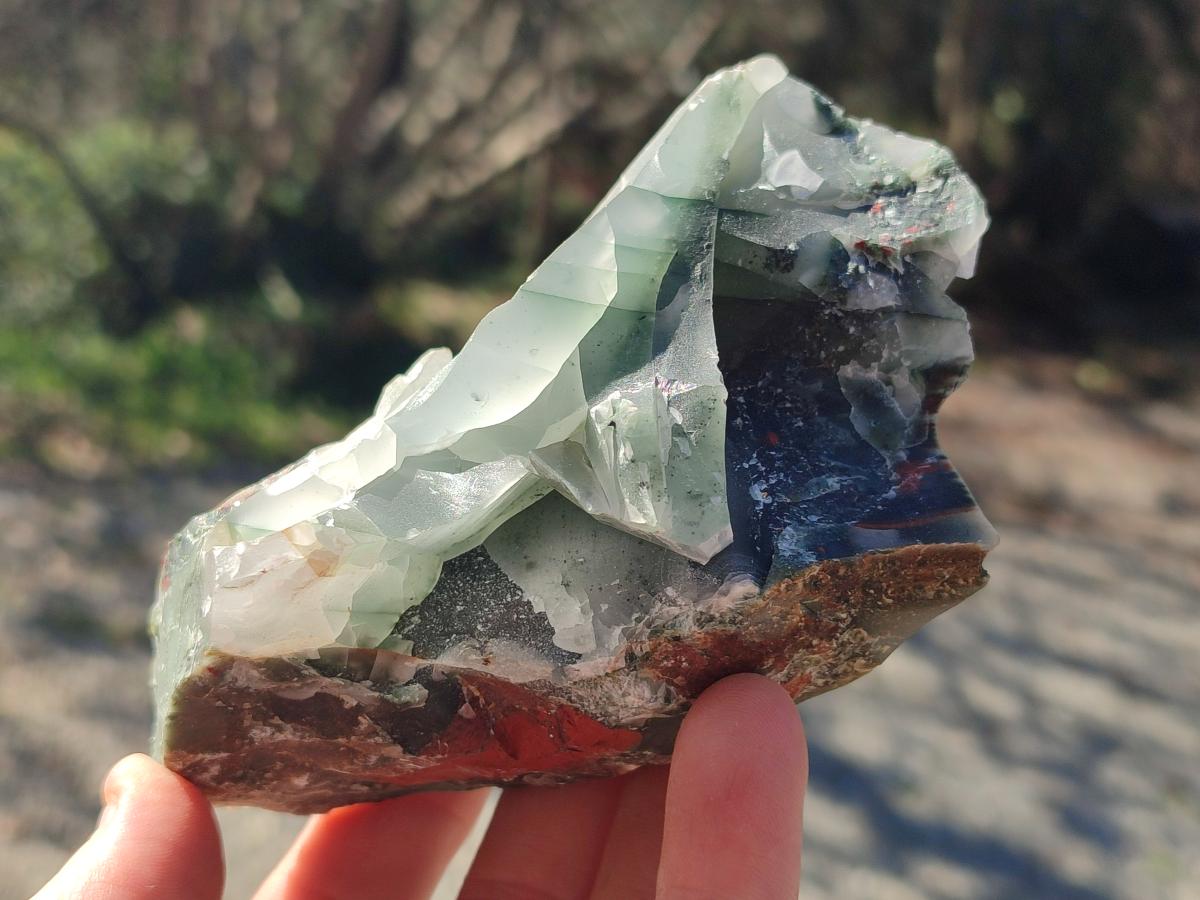 Natural Cobbed Bloodstone Pieces x 11 From Swaziland - Toprock Gemstones and Minerals 