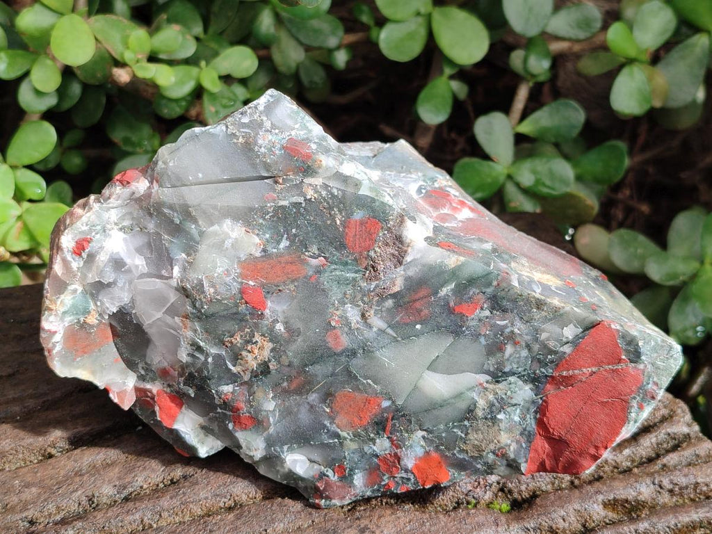 Natural Cobbed Bloodstone Pieces x 11 From Swaziland - Toprock Gemstones and Minerals 