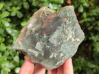 Natural Cobbed Bloodstone Pieces x 11 From Swaziland - Toprock Gemstones and Minerals 