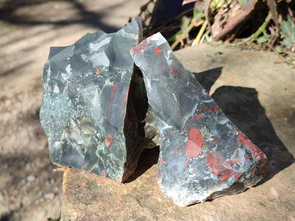 Natural Cobbed Bloodstone Pieces x 11 From Swaziland - Toprock Gemstones and Minerals 