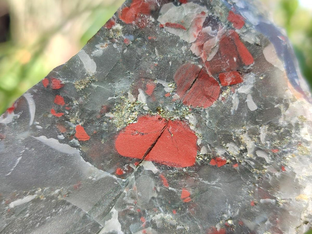 Natural Cobbed Bloodstone Pieces x 11 From Swaziland - Toprock Gemstones and Minerals 