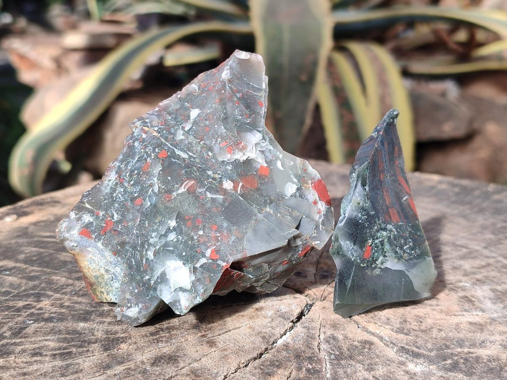 Natural Cobbed Bloodstone Pieces x 11 From Swaziland - Toprock Gemstones and Minerals 