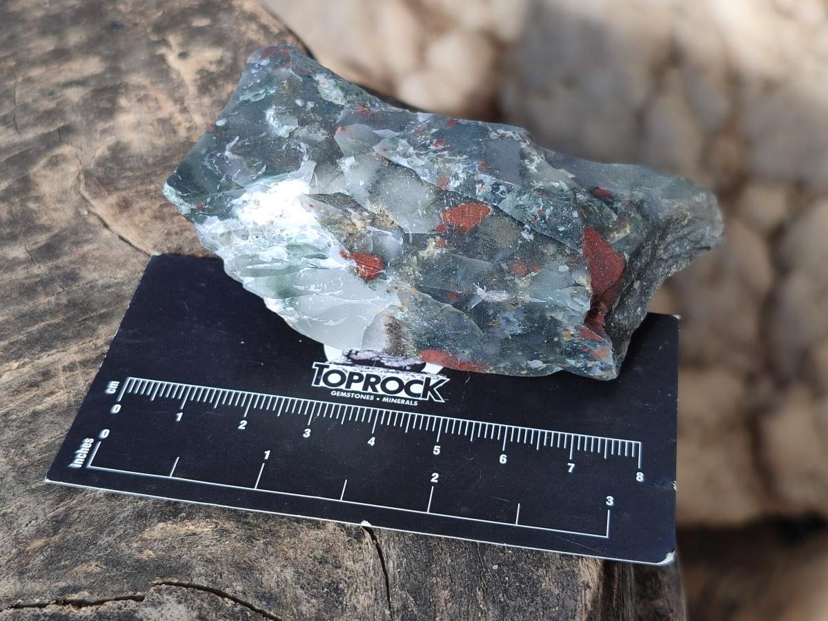 Natural Cobbed Bloodstone Pieces x 11 From Swaziland - Toprock Gemstones and Minerals 