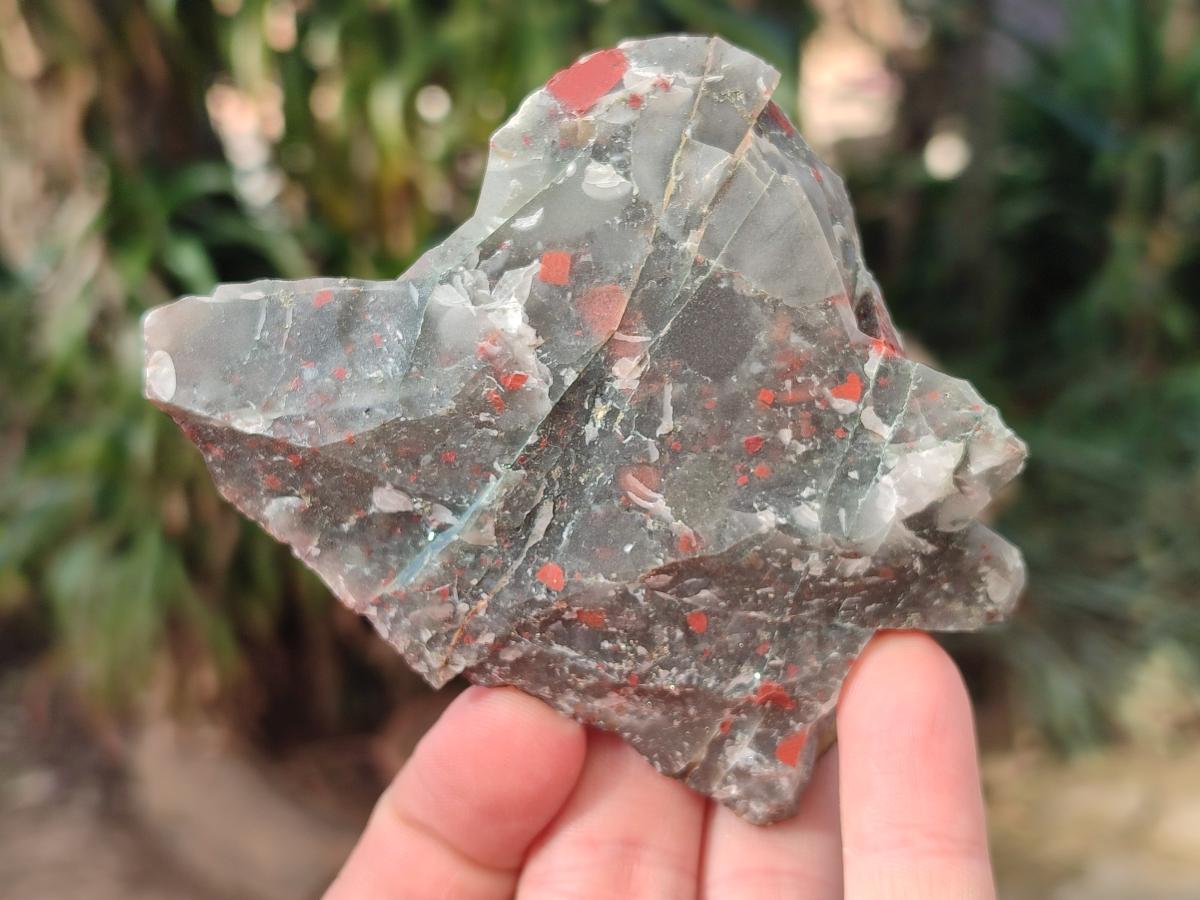 Natural Cobbed Bloodstone Pieces x 11 From Swaziland - Toprock Gemstones and Minerals 