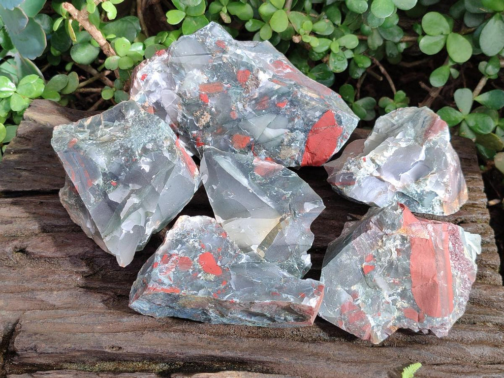 Natural Cobbed Bloodstone Pieces x 11 From Swaziland - Toprock Gemstones and Minerals 