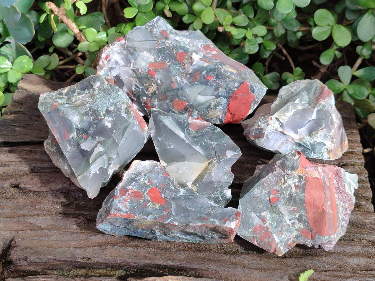 Natural Cobbed Bloodstone Pieces x 11 From Swaziland - Toprock Gemstones and Minerals 