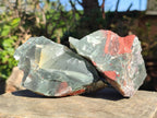 Natural Cobbed Bloodstone Pieces x 11 From Swaziland - Toprock Gemstones and Minerals 