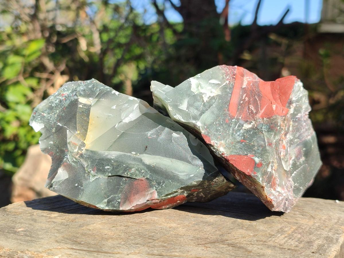 Natural Cobbed Bloodstone Pieces x 11 From Swaziland - Toprock Gemstones and Minerals 