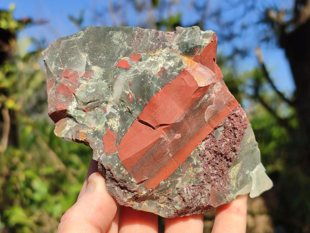 Natural Cobbed Bloodstone Pieces x 11 From Swaziland - Toprock Gemstones and Minerals 