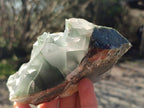 Natural Cobbed Bloodstone Pieces x 11 From Swaziland - Toprock Gemstones and Minerals 