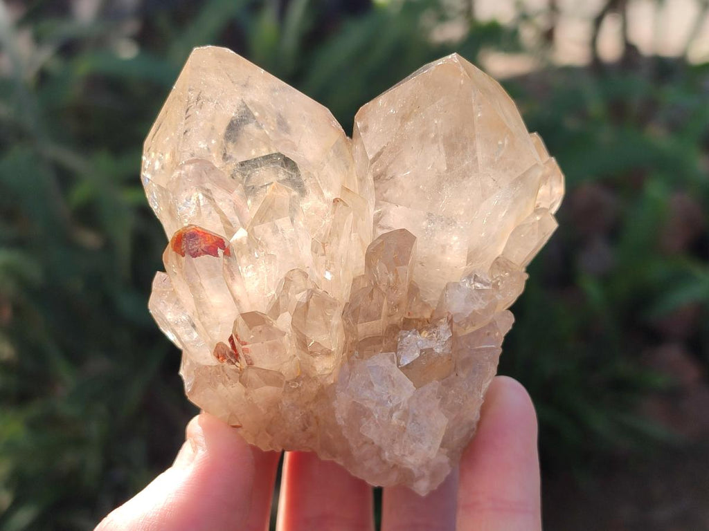 Natural Cascading Clear Smokey Citrine Crystal Quartz Clusters x 6 From Luena, Congo - Toprock Gemstones and Minerals 