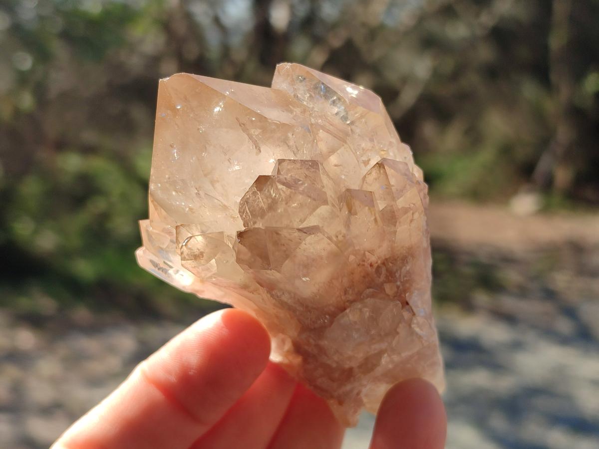 Natural Cascading Clear Smokey Citrine Crystal Quartz Clusters x 6 From Luena, Congo - Toprock Gemstones and Minerals 