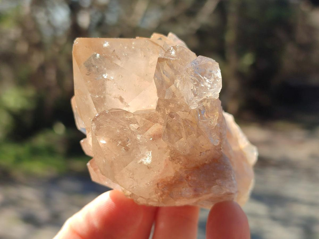 Natural Cascading Clear Smokey Citrine Crystal Quartz Clusters x 6 From Luena, Congo - Toprock Gemstones and Minerals 